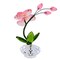 Crystal Expressions 4.0 Inch Orchid Figurine Everyday Figurine , Lightweight Everyday Decor Potted Orchid